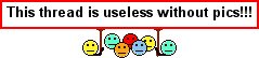 useless.gif