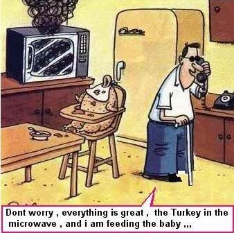 Cartoon Baby Turkey