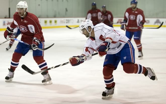 Habs01_1preview.jpg