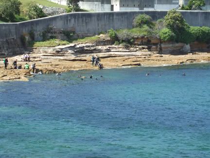 BareIsl280108a.jpg
