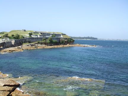 BareIsl280108b.jpg