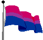 Bi Flag Pictures, Images and Photos