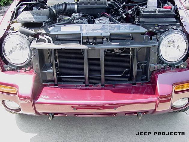 Jeep liberty bug screen