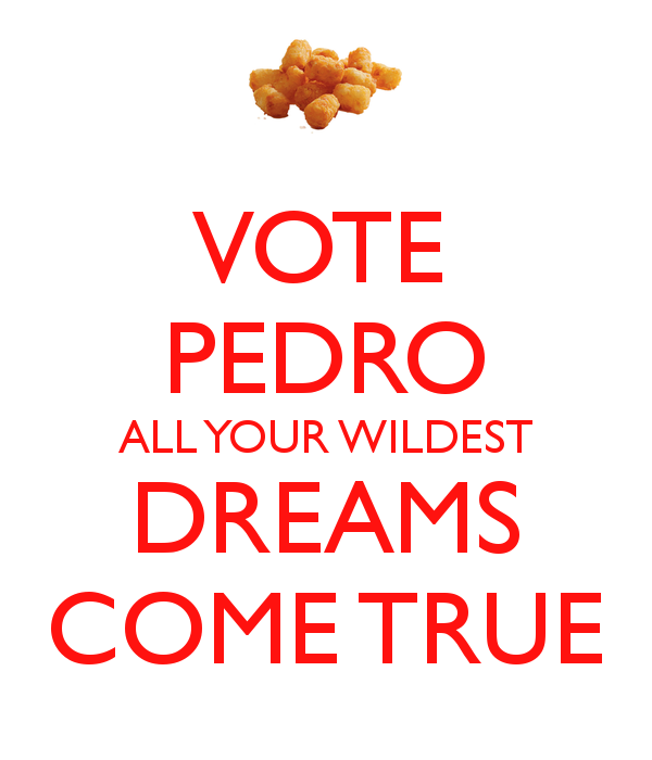  photo -vote-pedro-all-your-wildest-dreams-come-true_zpsvytecnnb.png