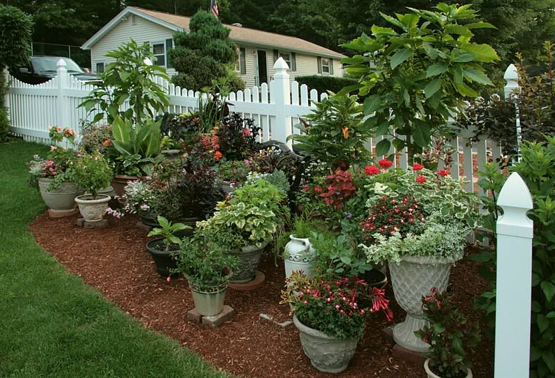 Vegetable Container Garden Ideas
