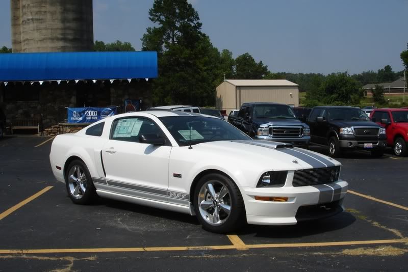 2007 ford mustang shelby gt500. 2007 Ford Mustang Shelby GT