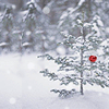 th_christmas.png