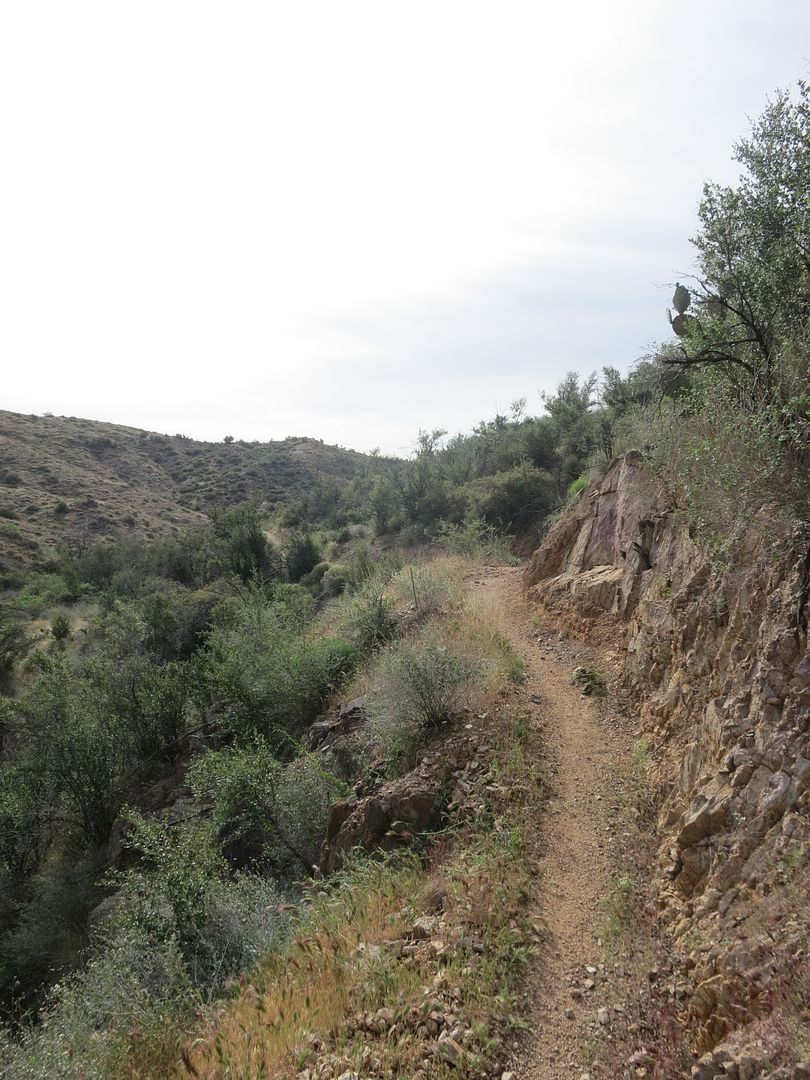  photo Black Canyon Trail 019.jpg