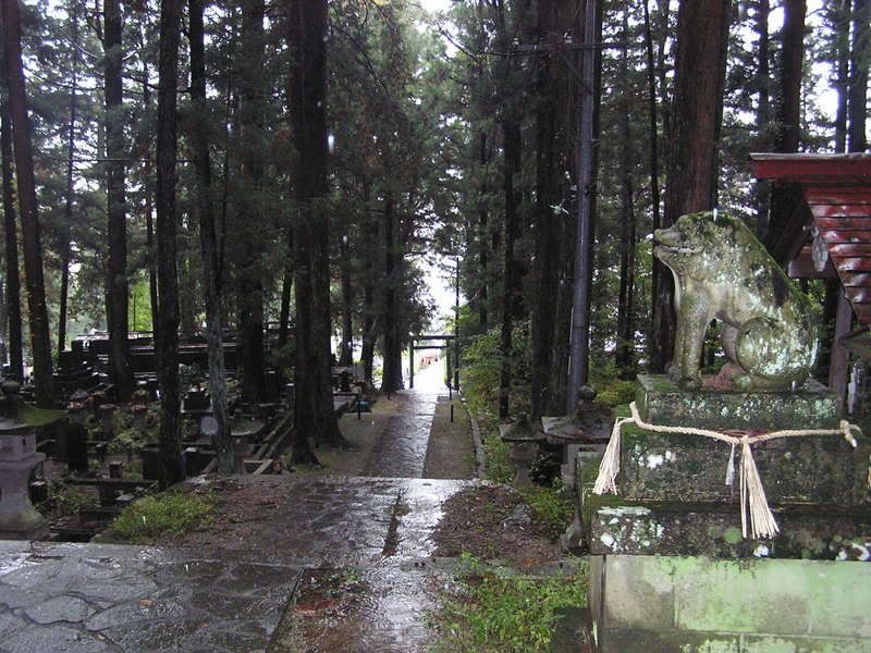 P1010658.jpg