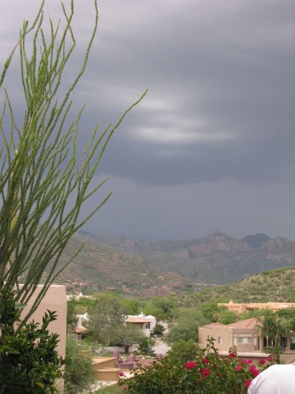 greendesertTucsonRains005.jpg