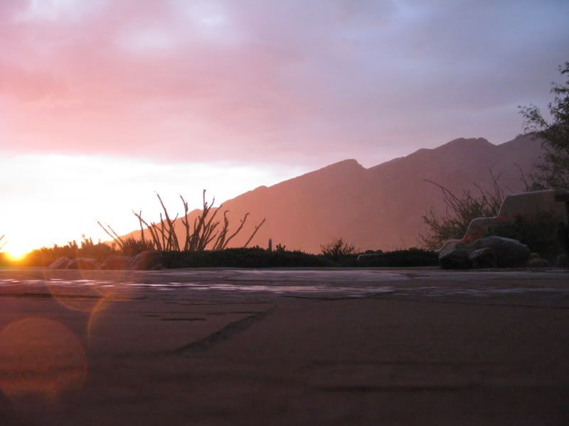 greendesertTucsonRains013.jpg