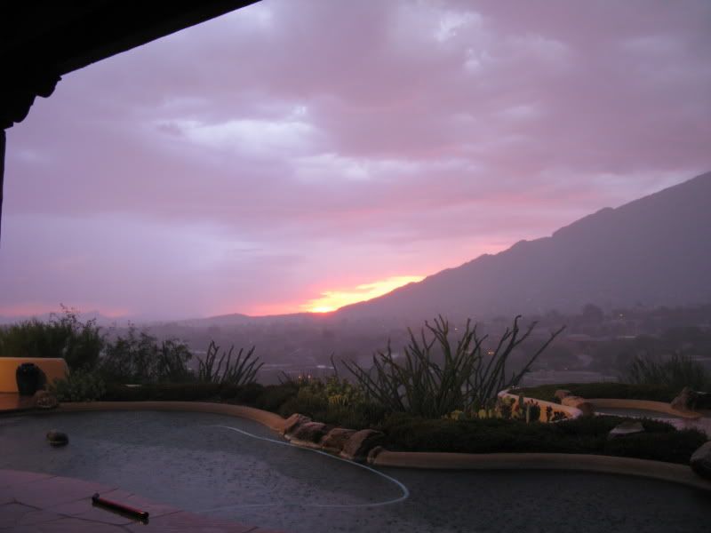 greendesertTucsonRains023.jpg