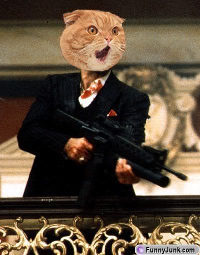 Scarface comparison essay 06 image