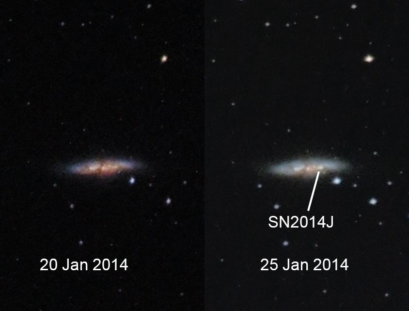 IMAGE: http://i72.photobucket.com/albums/i192/garlicpickle/Canon/20-25Jan_zps4a06bf03.jpg