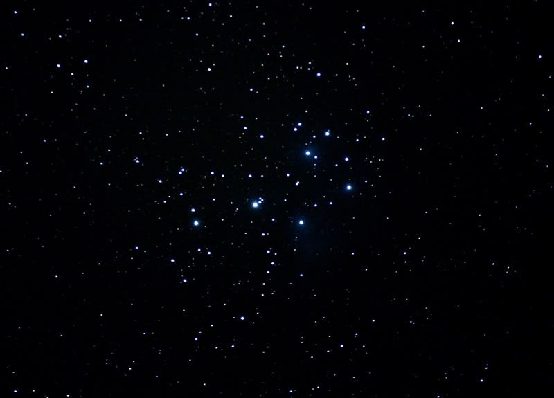 IMAGE: http://i72.photobucket.com/albums/i192/garlicpickle/Canon/IMG_0092blackweb.jpg