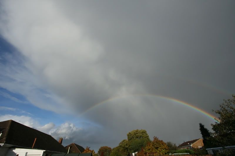 IMAGE: http://i72.photobucket.com/albums/i192/garlicpickle/Canon/IMG_3971-web.jpg