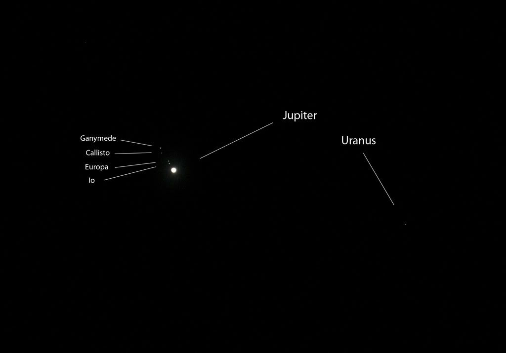 IMAGE: http://i72.photobucket.com/albums/i192/garlicpickle/Canon/IMG_7817small.jpg