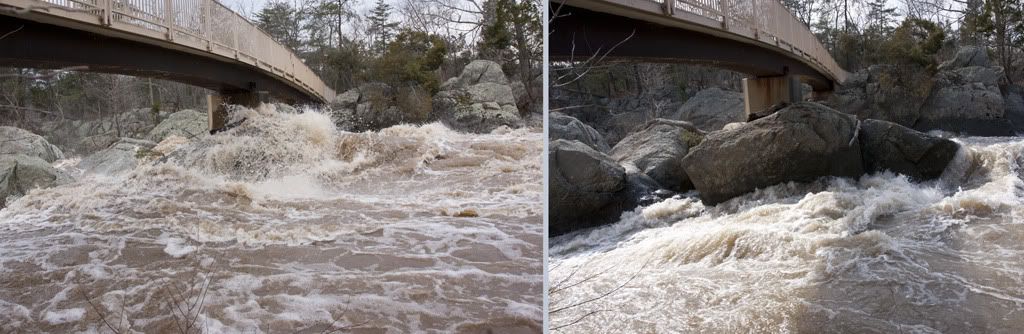 IMAGE: http://i72.photobucket.com/albums/i192/garlicpickle/Canon/IMG_8105v8855.jpg