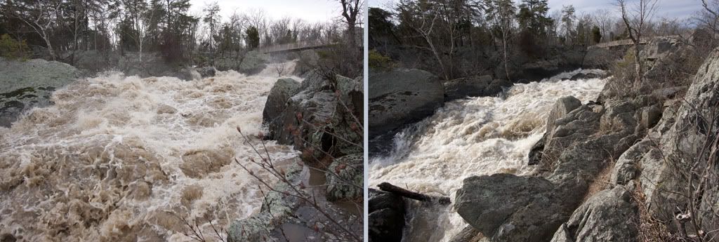 IMAGE: http://i72.photobucket.com/albums/i192/garlicpickle/Canon/IMG_8124v8892.jpg