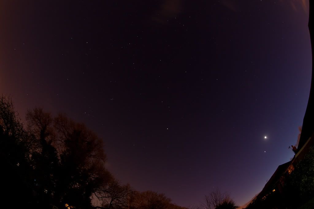 IMAGE: http://i72.photobucket.com/albums/i192/garlicpickle/Canon/lr1-1149.jpg