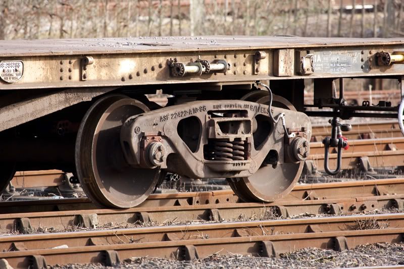 IMAGE: http://i72.photobucket.com/albums/i192/garlicpickle/Canon/lr1-4817web.jpg