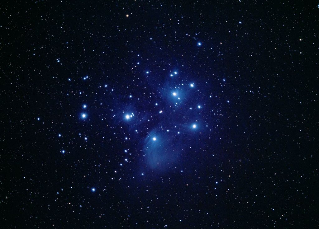 IMAGE: http://i72.photobucket.com/albums/i192/garlicpickle/Canon/lr1small--2_zpsa5e2a1da.jpg