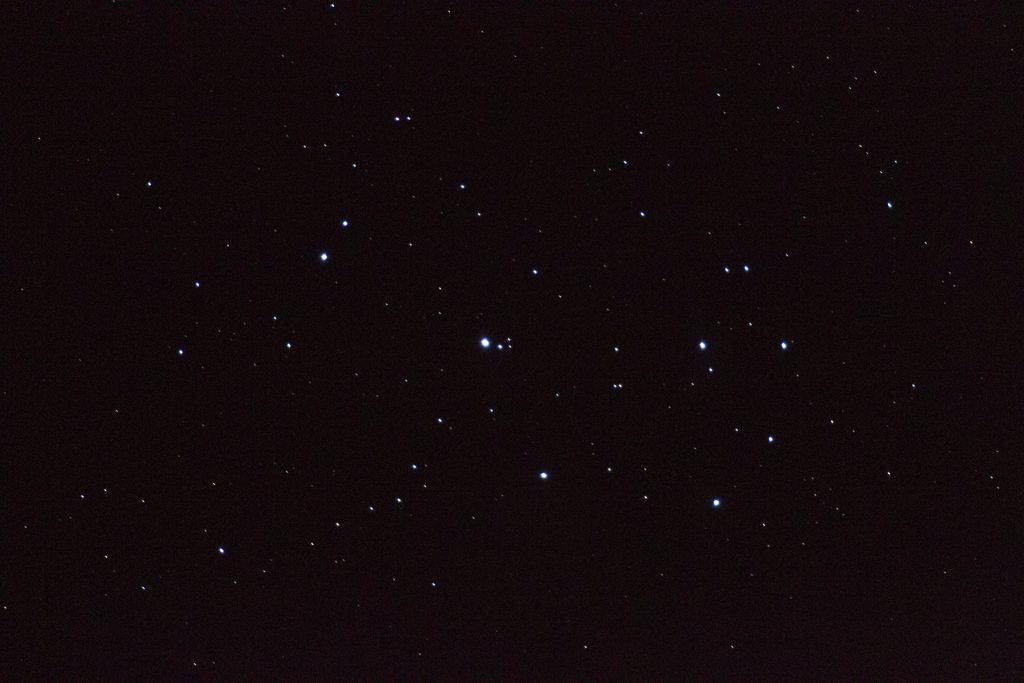 IMAGE: http://i72.photobucket.com/albums/i192/garlicpickle/Canon/lr1small-0692_zps65c3ee44.jpg