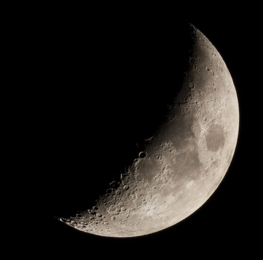 IMAGE: http://i72.photobucket.com/albums/i192/garlicpickle/Canon/lr1small-1703_zps5e6eea64.jpg