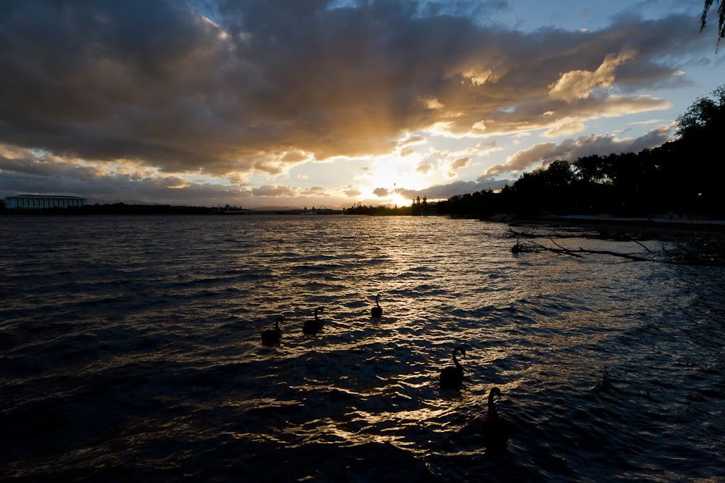 IMAGE: http://i72.photobucket.com/albums/i192/garlicpickle/Canon/lr1small-2183.jpg