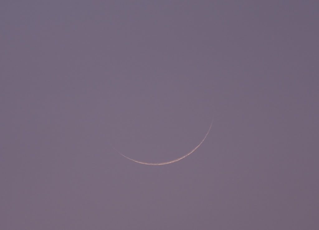 IMAGE: http://i72.photobucket.com/albums/i192/garlicpickle/Canon/lr1small-2247.jpg