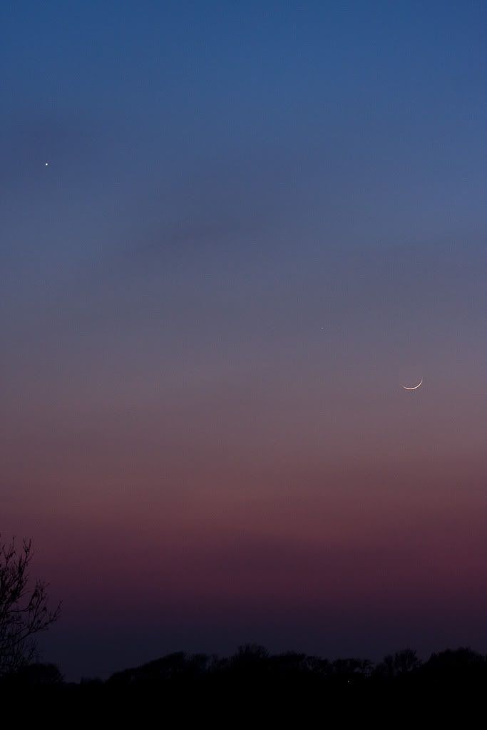 IMAGE: http://i72.photobucket.com/albums/i192/garlicpickle/Canon/lr1small-2263.jpg