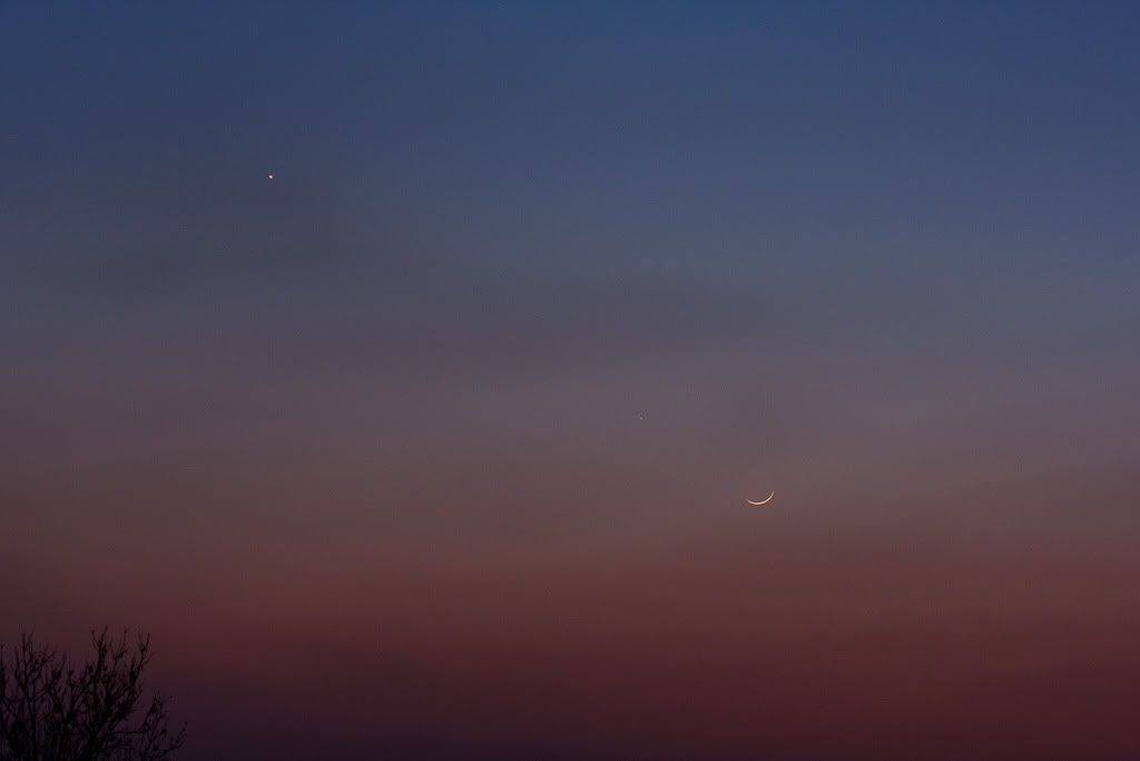 IMAGE: http://i72.photobucket.com/albums/i192/garlicpickle/Canon/lr1small-2271-2.jpg