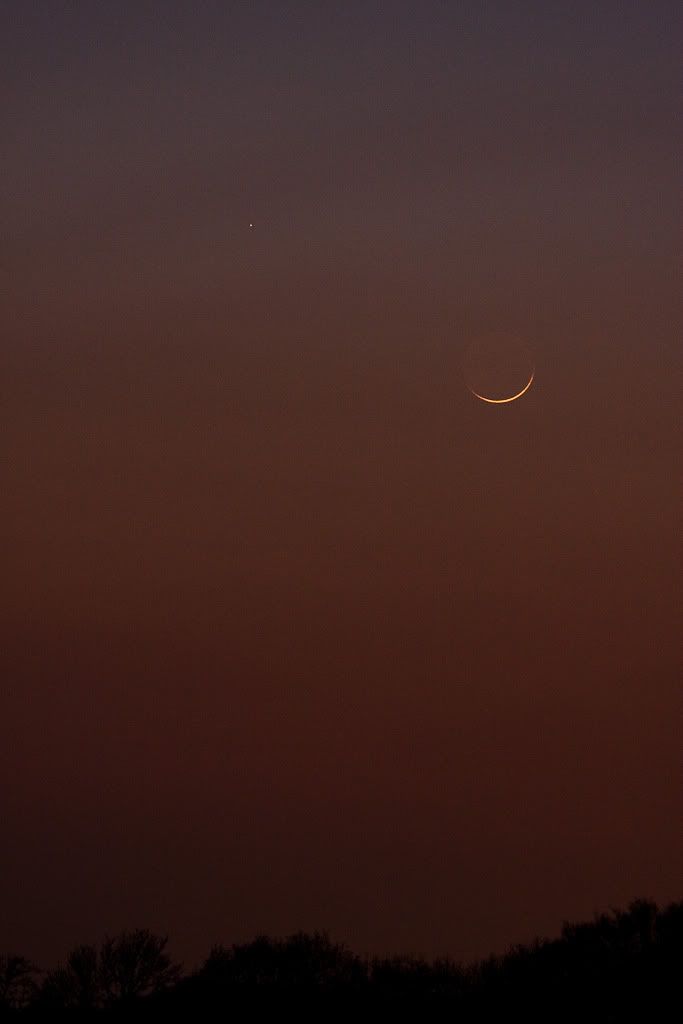 IMAGE: http://i72.photobucket.com/albums/i192/garlicpickle/Canon/lr1small-2277.jpg