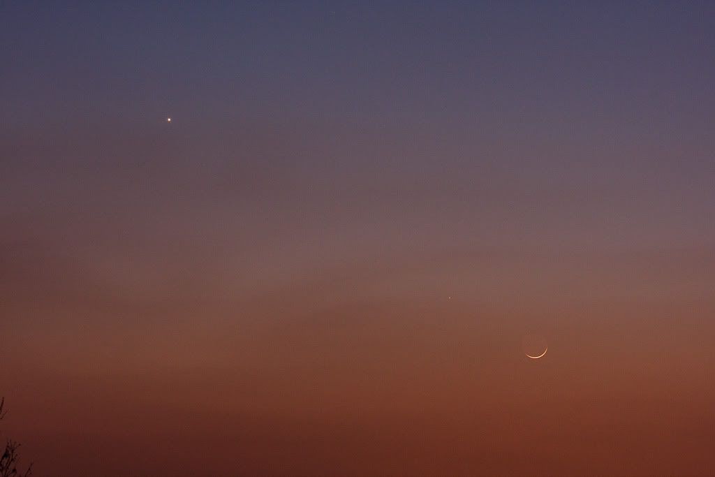 IMAGE: http://i72.photobucket.com/albums/i192/garlicpickle/Canon/lr1small-2281.jpg