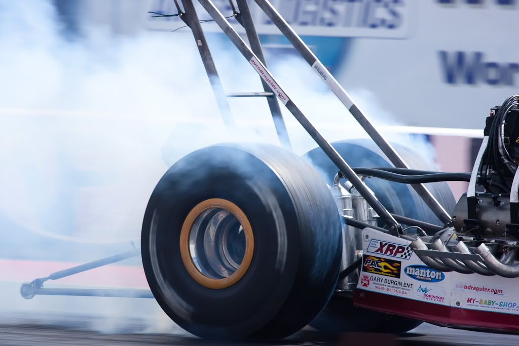 IMAGE: http://i72.photobucket.com/albums/i192/garlicpickle/Canon/lr1small-2779.jpg