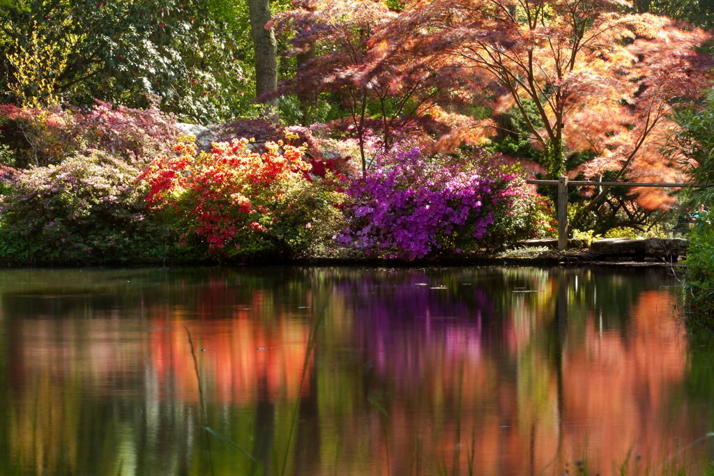 IMAGE: http://i72.photobucket.com/albums/i192/garlicpickle/Canon/lr1small-3110_zps9d8ecc55.jpg