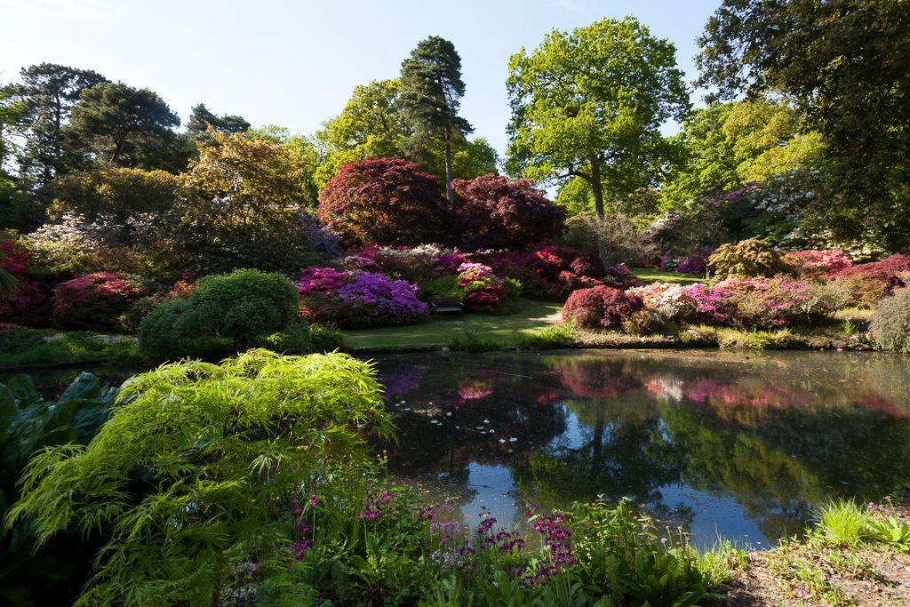 IMAGE: http://i72.photobucket.com/albums/i192/garlicpickle/Canon/lr1small-3116_zps6158aafa.jpg