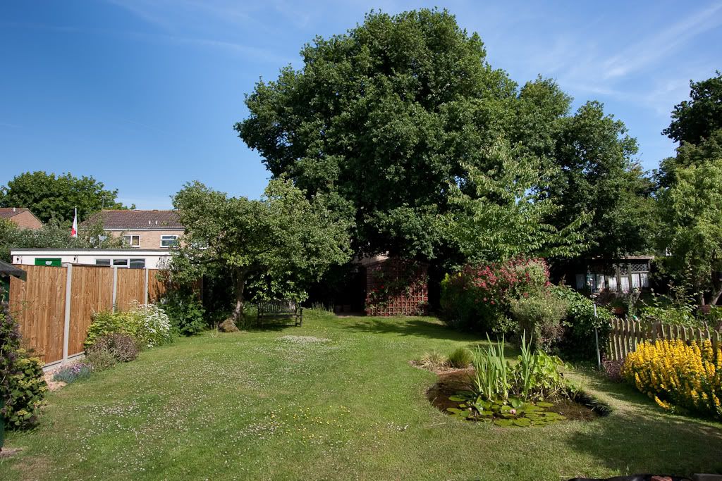 IMAGE: http://i72.photobucket.com/albums/i192/garlicpickle/Canon/lr1small-3998.jpg