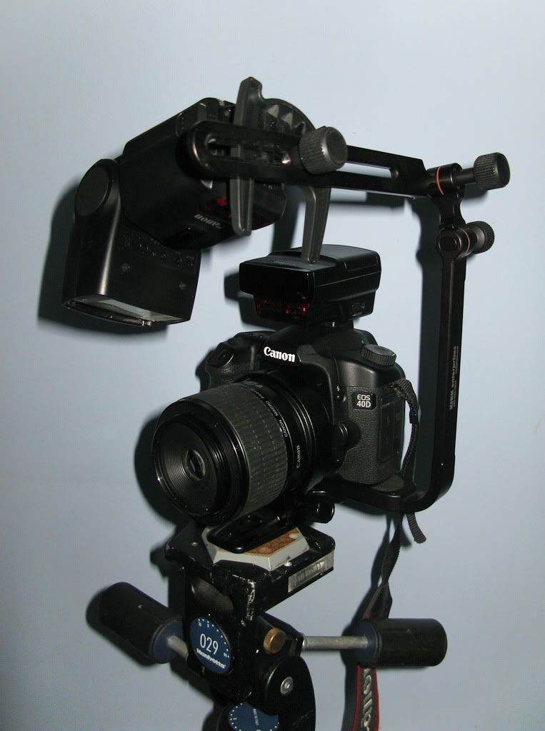 IMAGE: http://i72.photobucket.com/albums/i192/garlicpickle/Canon/lr1small-4989.jpg