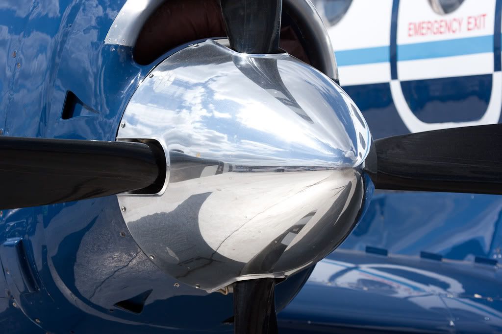 IMAGE: http://i72.photobucket.com/albums/i192/garlicpickle/Canon/lr1small-5025.jpg