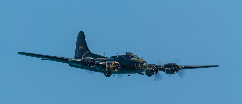 IMAGE: http://i72.photobucket.com/albums/i192/garlicpickle/Canon/lr1small-6107_zpsfe11ad0b.jpg