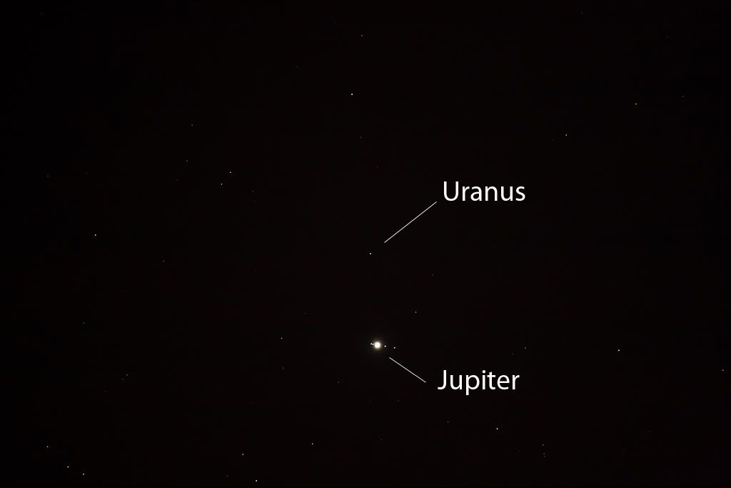 IMAGE: http://i72.photobucket.com/albums/i192/garlicpickle/Canon/lr1small-6859-labelled.jpg