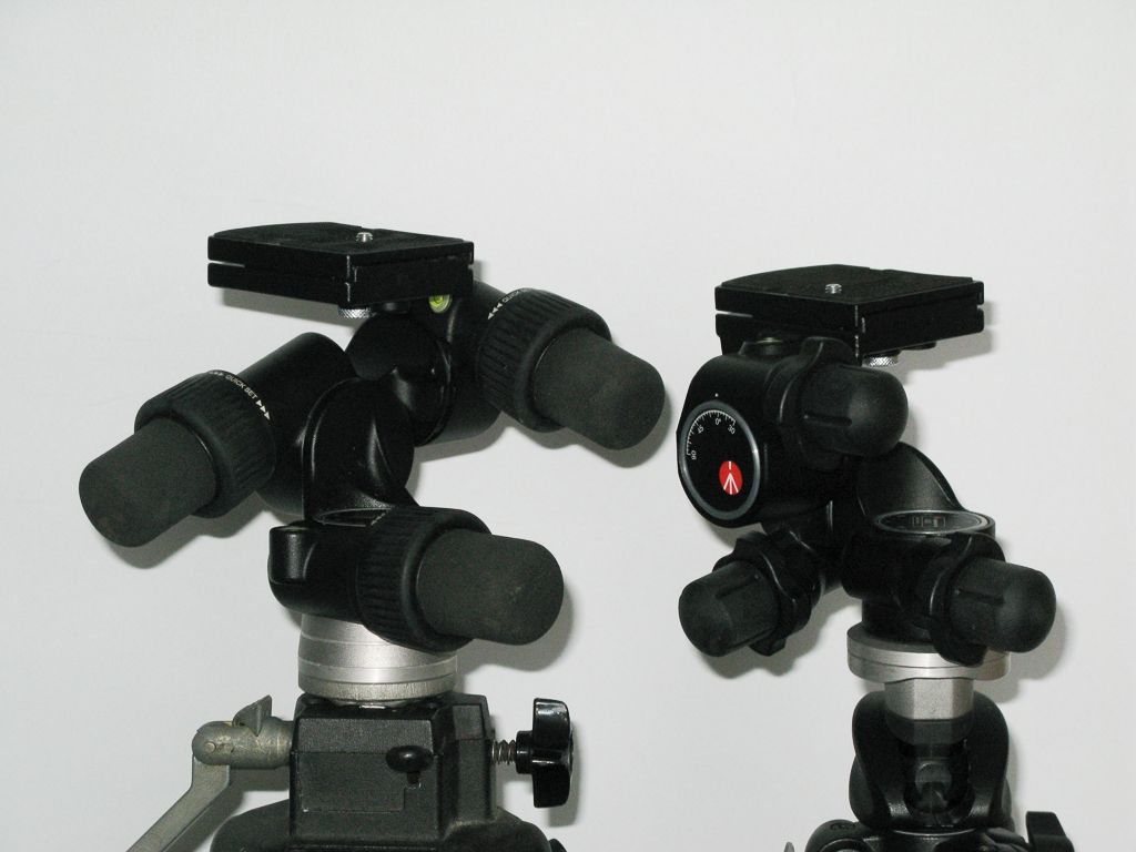 IMAGE: http://i72.photobucket.com/albums/i192/garlicpickle/Canon/lr1small-7754_zps90de3049.jpg