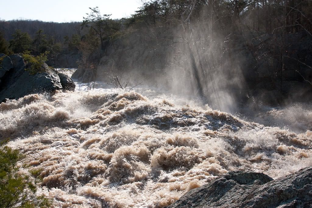 IMAGE: http://i72.photobucket.com/albums/i192/garlicpickle/Canon/lr1small-8535.jpg