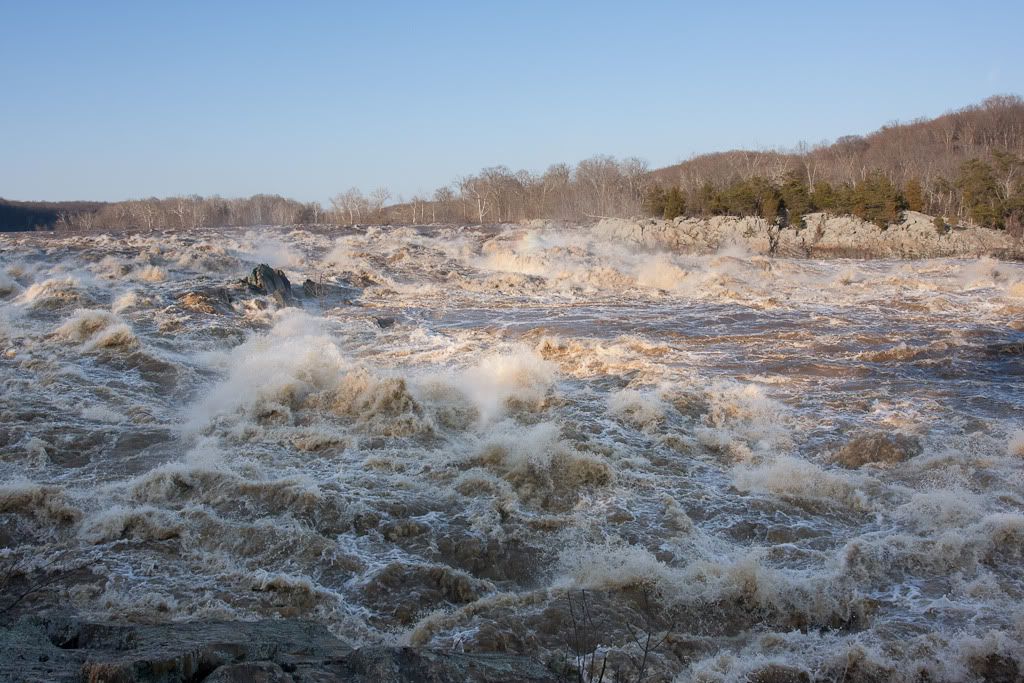 IMAGE: http://i72.photobucket.com/albums/i192/garlicpickle/Canon/lr1small-8559.jpg