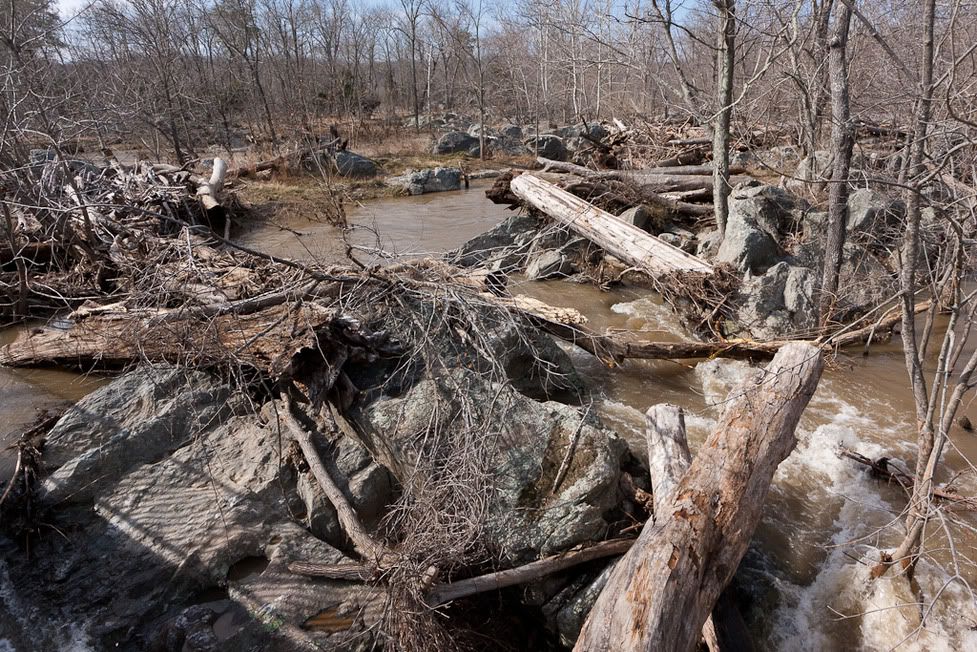 IMAGE: http://i72.photobucket.com/albums/i192/garlicpickle/Canon/lr1small-8863.jpg