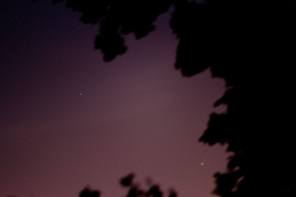 IMAGE: http://i72.photobucket.com/albums/i192/garlicpickle/Canon/lr1small-_zps524a41e0.jpg