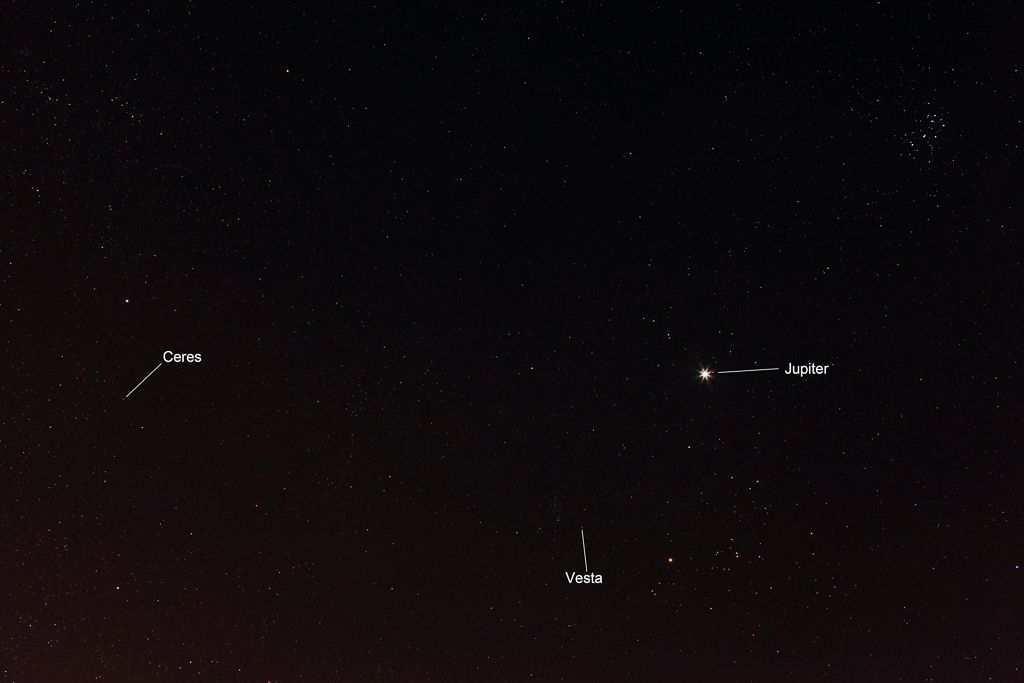 IMAGE: http://i72.photobucket.com/albums/i192/garlicpickle/Canon/lrsmall--2_zps39ca6b33.jpg