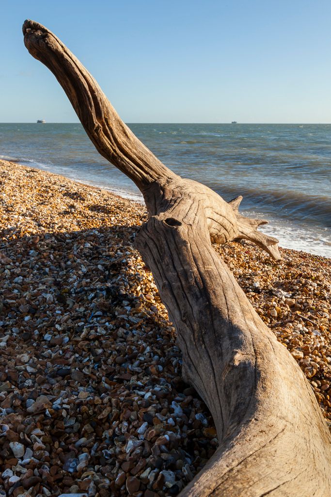 IMAGE: http://i72.photobucket.com/albums/i192/garlicpickle/Canon/lrsmall-2623_zpse424d254.jpg