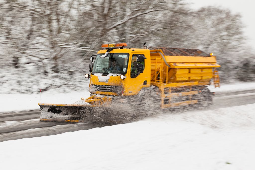 IMAGE: http://i72.photobucket.com/albums/i192/garlicpickle/Canon/lrsmall-2694_zpse4da1684.jpg